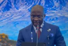 Nigeria’s Deputy Speaker Proposes Global Legislative Intervention To Tackle Climate Disasters